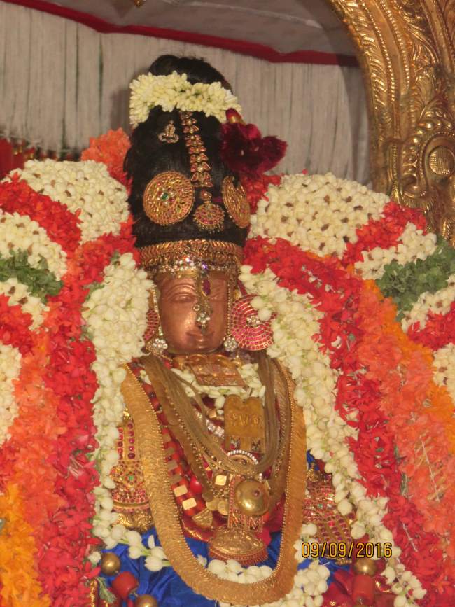 kanchi-perundhevi-thayar-avani-sukravara-purappadu-2016006