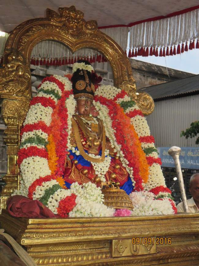 kanchi-perundhevi-thayar-avani-sukravara-purappadu-2016024