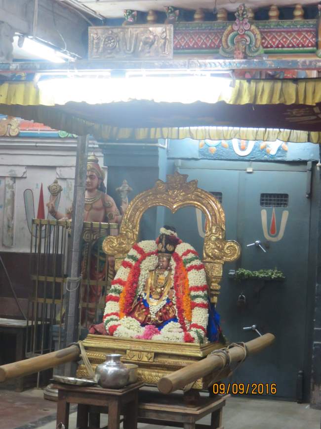 kanchi-perundhevi-thayar-avani-sukravara-purappadu-2016029