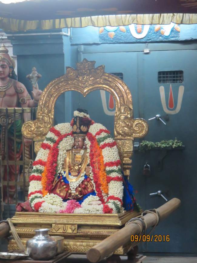 kanchi-perundhevi-thayar-avani-sukravara-purappadu-2016030
