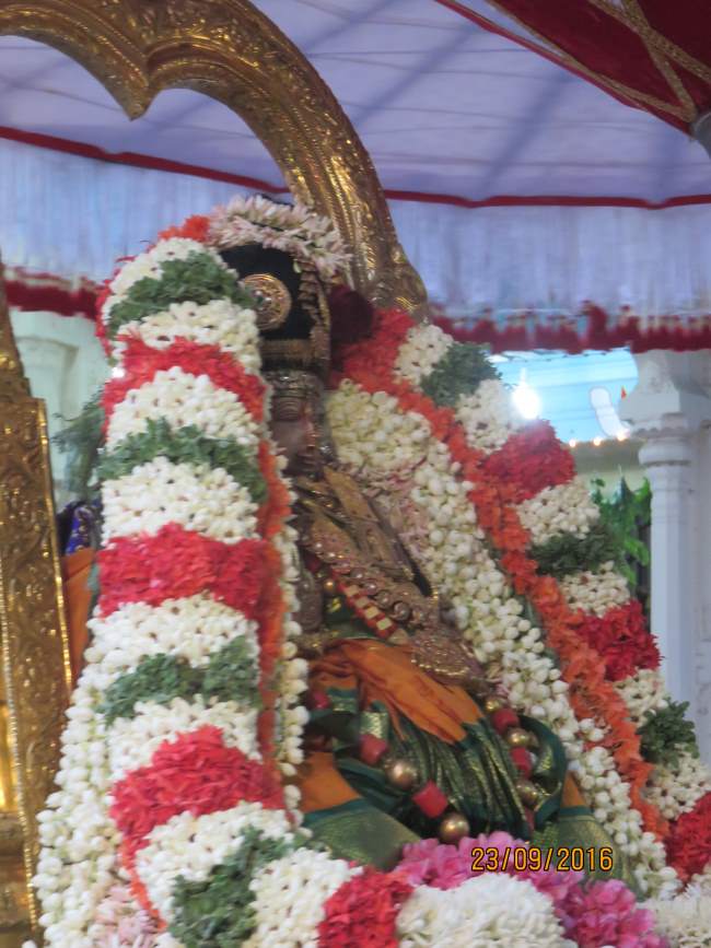 kanchi-perundhevi-thayar-purattasi-sukravara-purappadu-2016001