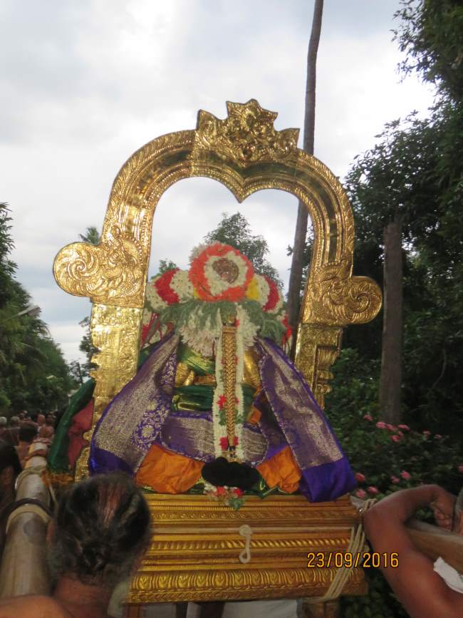 kanchi-perundhevi-thayar-purattasi-sukravara-purappadu-2016003