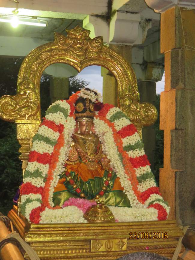 kanchi-perundhevi-thayar-purattasi-sukravara-purappadu-2016007