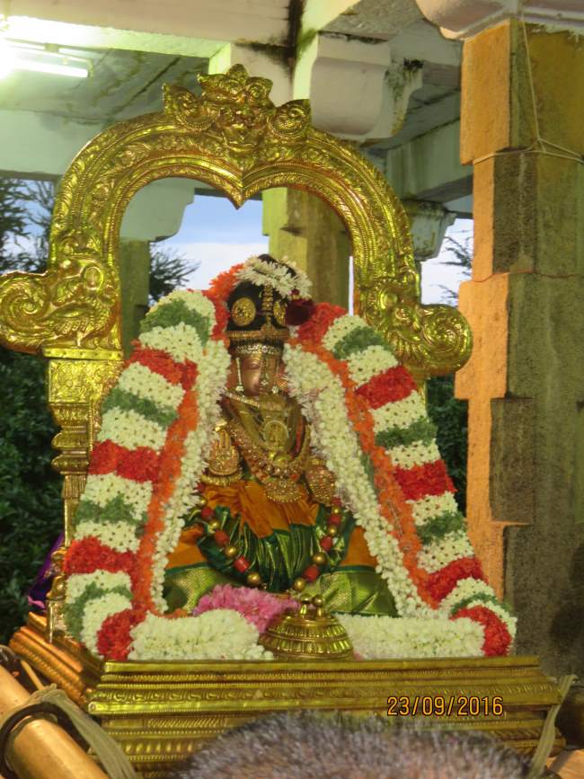 kanchi-perundhevi-thayar-purattasi-sukravara-purappadu-2016008