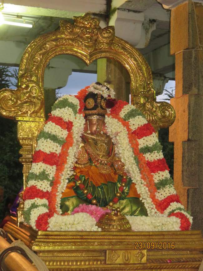 kanchi-perundhevi-thayar-purattasi-sukravara-purappadu-2016009