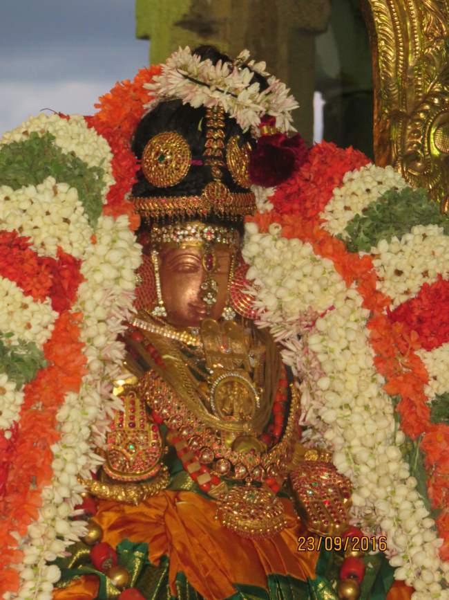 kanchi-perundhevi-thayar-purattasi-sukravara-purappadu-2016010