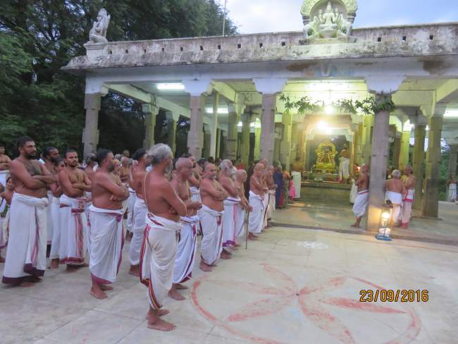 kanchi-perundhevi-thayar-purattasi-sukravara-purappadu-2016011