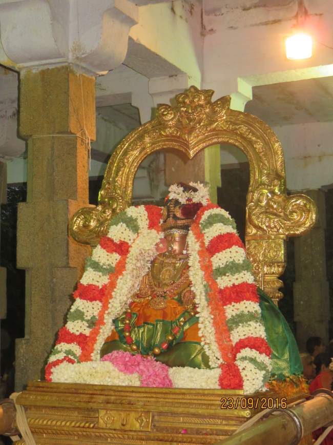 kanchi-perundhevi-thayar-purattasi-sukravara-purappadu-2016012