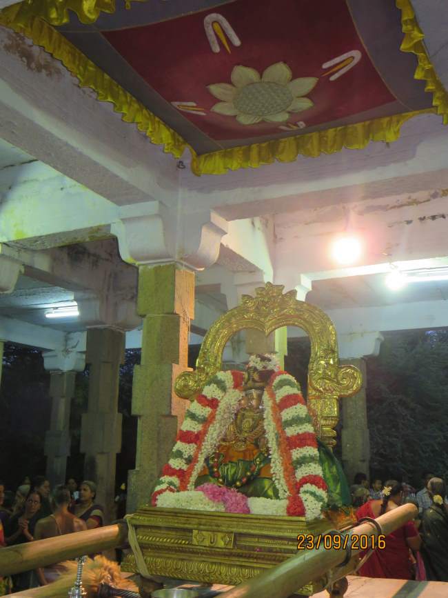 kanchi-perundhevi-thayar-purattasi-sukravara-purappadu-2016013