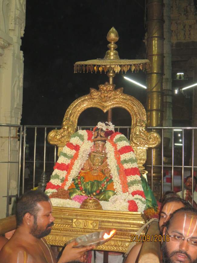 kanchi-perundhevi-thayar-purattasi-sukravara-purappadu-2016025