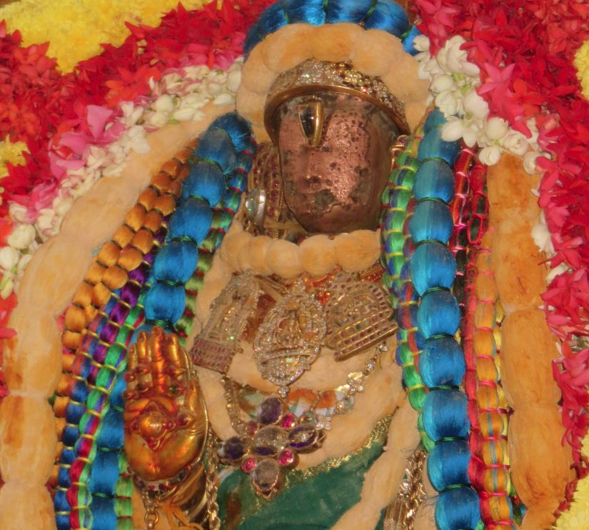 kanchi-sri-devaperumal-sannadhi-pavithrotsavam-2016