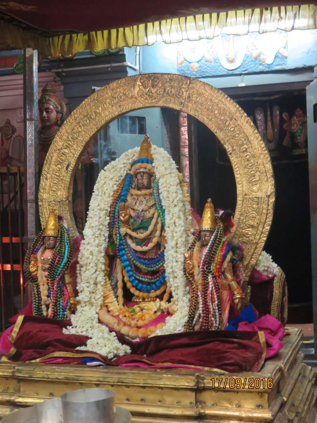 kanchi-sri-devarajaswami-temple-pavithrotsavam-day-2-2016001