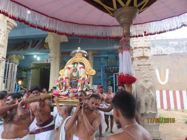 kanchi-sri-devarajaswami-temple-pavithrotsavam-day-2-2016016