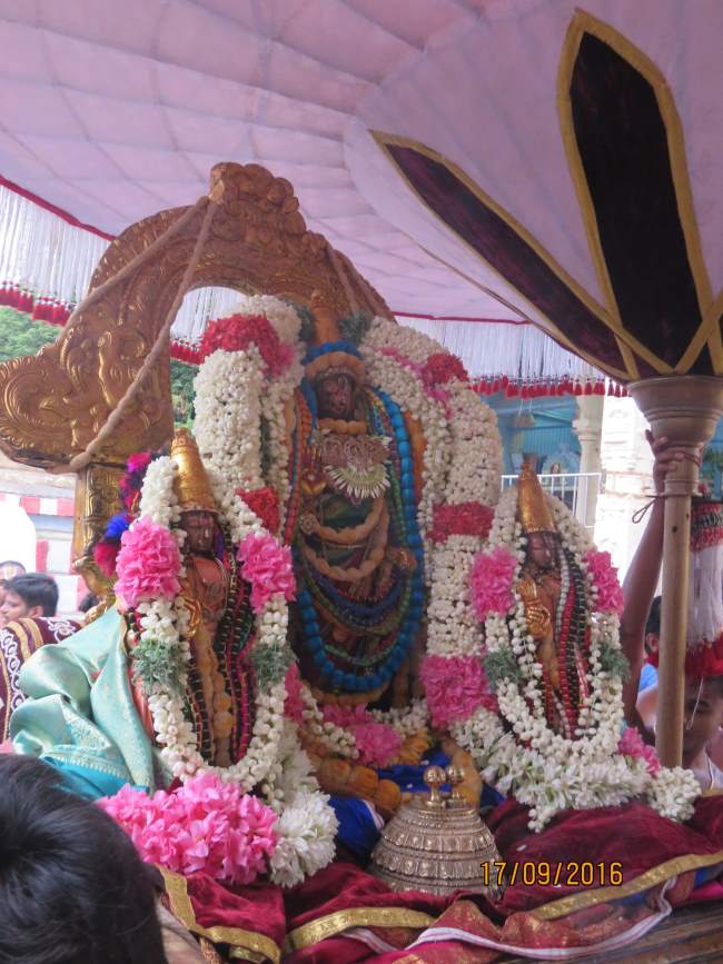 kanchi-sri-devarajaswami-temple-pavithrotsavam-day-2-2016017