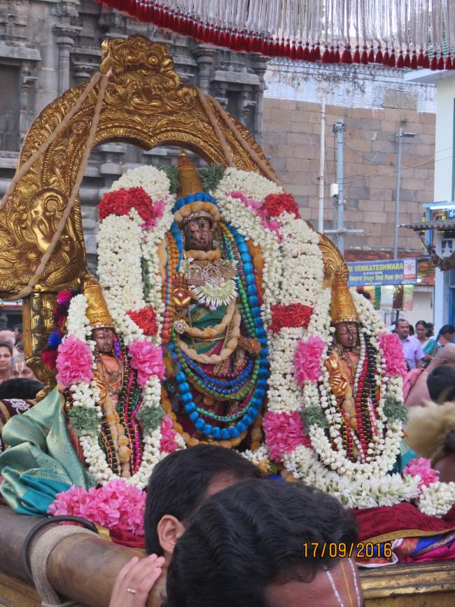 kanchi-sri-devarajaswami-temple-pavithrotsavam-day-2-2016026