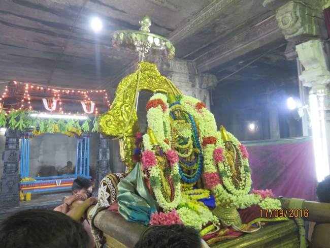 kanchi-sri-devarajaswami-temple-pavithrotsavam-day-2-2016038
