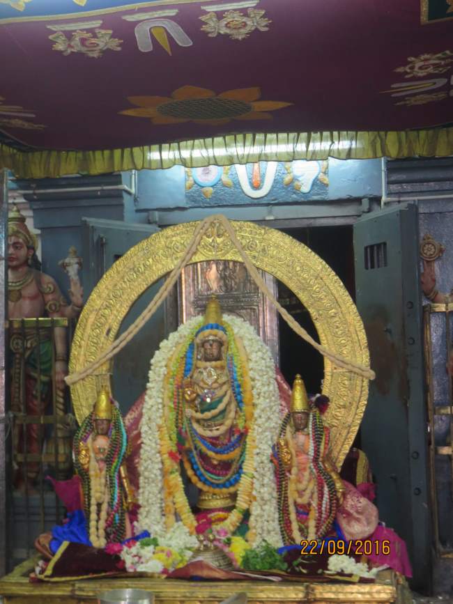 kanchi-sri-devarajaswami-temple-pavithrotsavam-day-7-2016001