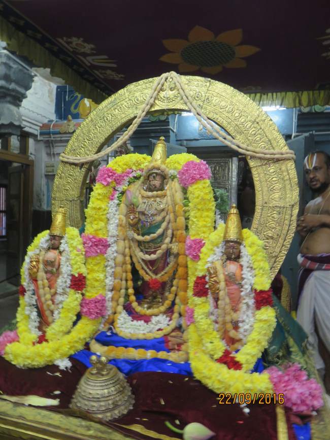 kanchi-sri-devarajaswami-temple-pavithrotsavam-day-7-2016004