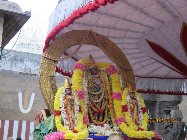 kanchi-sri-devarajaswami-temple-pavithrotsavam-day-7-2016006