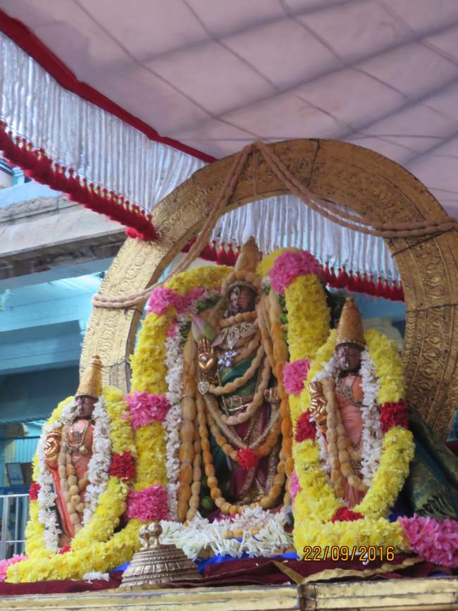 kanchi-sri-devarajaswami-temple-pavithrotsavam-day-7-2016009