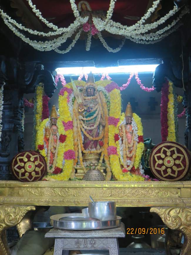 kanchi-sri-devarajaswami-temple-pavithrotsavam-day-7-2016028