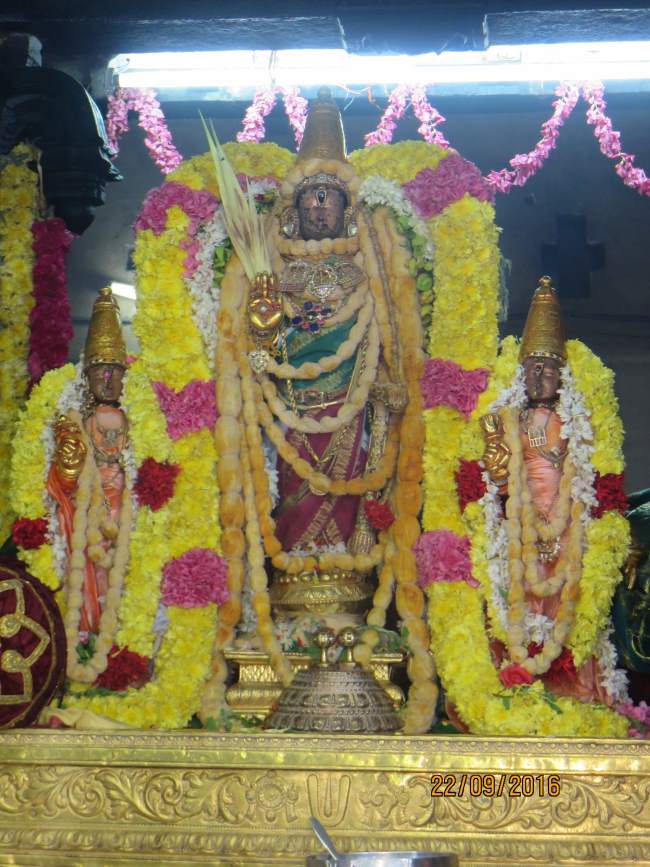 kanchi-sri-devarajaswami-temple-pavithrotsavam-day-7-2016029