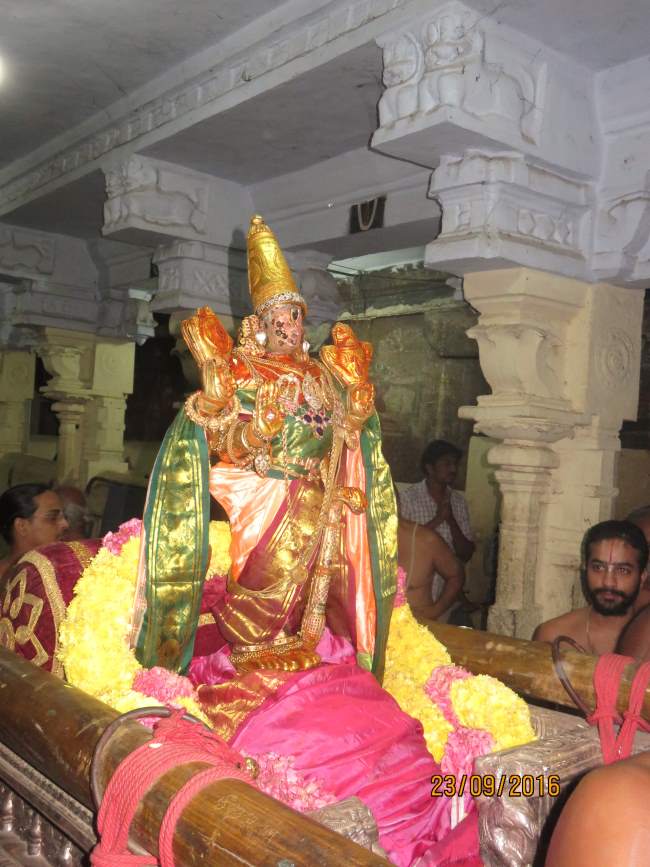 kanchi-sri-devarajaswami-temple-pavithrotsavam-day-7-2016042