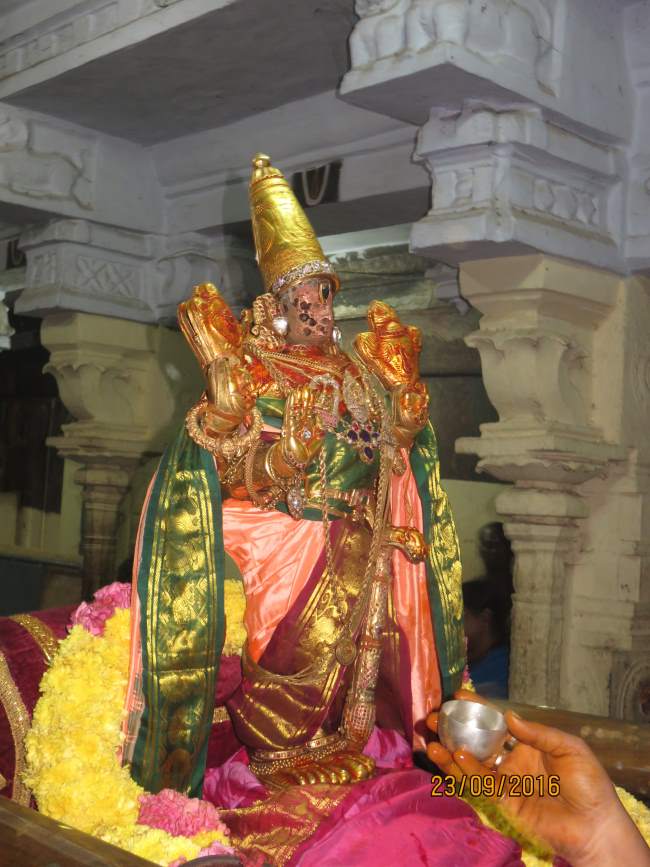 kanchi-sri-devarajaswami-temple-pavithrotsavam-day-7-2016043