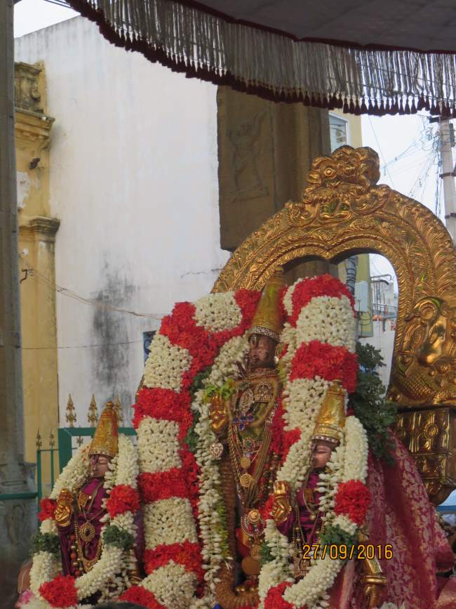 kanchi-sri-devarajaswami-temple-purattasi-krishna-ekadasi-purappadu-2016012