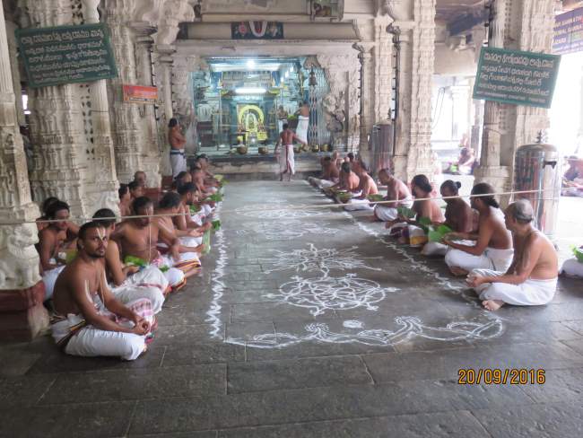 kanchi-sri-devarajaswami-temple-pavithrotsavam-day-5-2016003