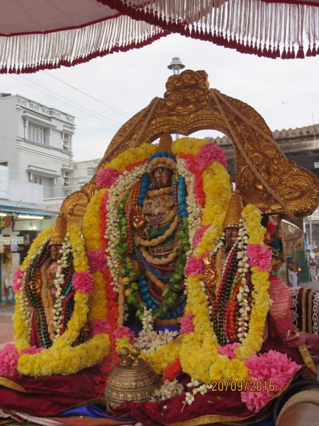 kanchi-sri-devarajaswami-temple-pavithrotsavam-day-5-2016005