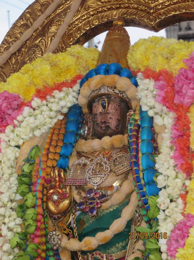 kanchi-sri-devarajaswami-temple-pavithrotsavam-day-5-2016006