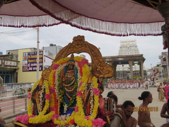 kanchi-sri-devarajaswami-temple-pavithrotsavam-day-5-2016009