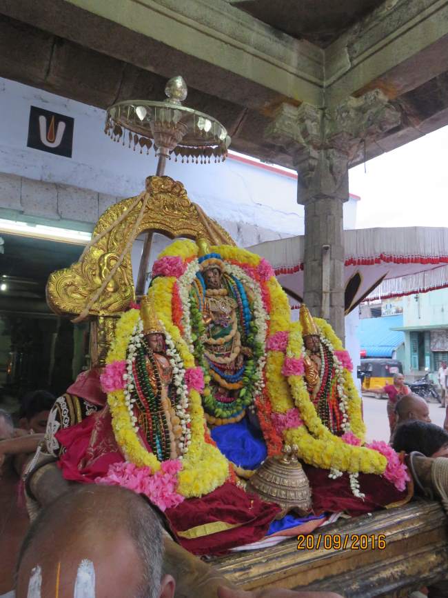 kanchi-sri-devarajaswami-temple-pavithrotsavam-day-5-2016013