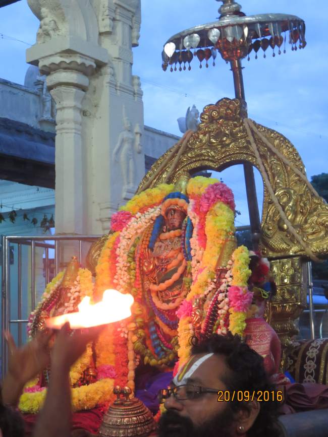 kanchi-sri-devarajaswami-temple-pavithrotsavam-day-5-2016016