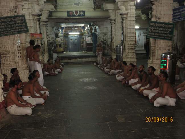 kanchi-sri-devarajaswami-temple-pavithrotsavam-day-5-2016021