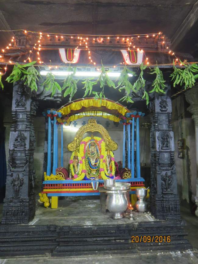 kanchi-sri-devarajaswami-temple-pavithrotsavam-day-5-2016022