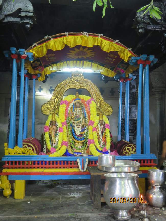 kanchi-sri-devarajaswami-temple-pavithrotsavam-day-5-2016023