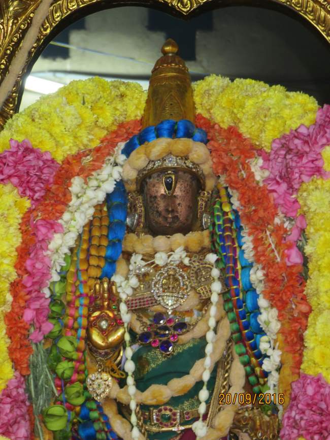 kanchi-sri-devarajaswami-temple-pavithrotsavam-day-5-2016024