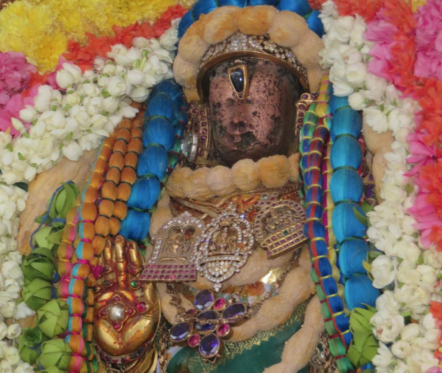 kanchi-sri-devperumal-sannadhi-pavithrotsavam-day-5-2016