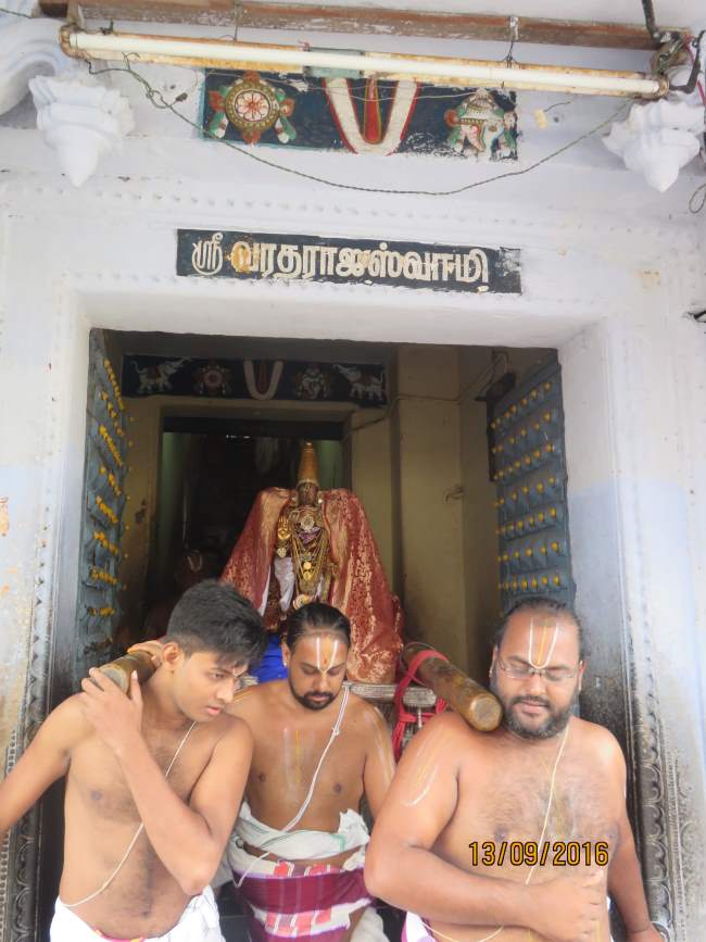 kanchi-devaperumal-sannadhi-avani-sukla-ekadesi-purappadu-2016003