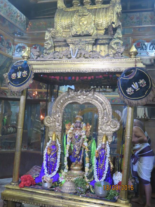 kanchi-devaperumal-sannadhi-avani-sukla-ekadesi-purappadu-2016011