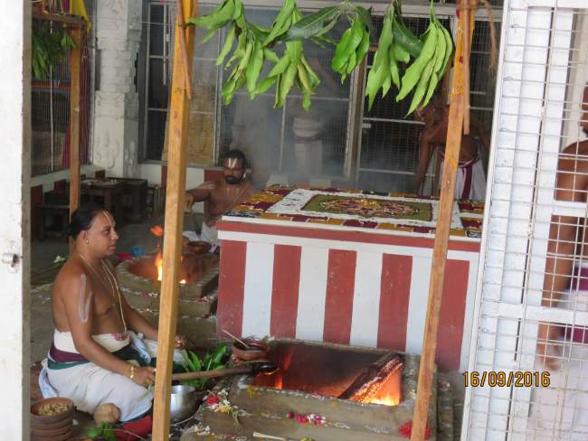 kanchi-devarajaswami-temple-pavithrotsavam-2016002