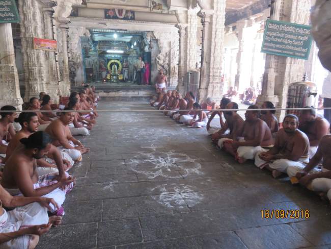 kanchi-devarajaswami-temple-pavithrotsavam-2016003
