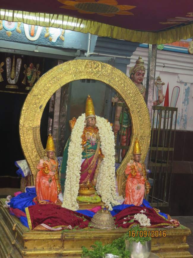 kanchi-devarajaswami-temple-pavithrotsavam-2016005