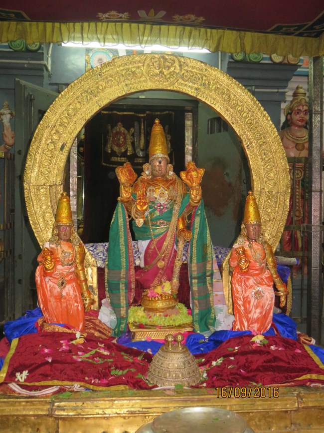 kanchi-devarajaswami-temple-pavithrotsavam-2016006