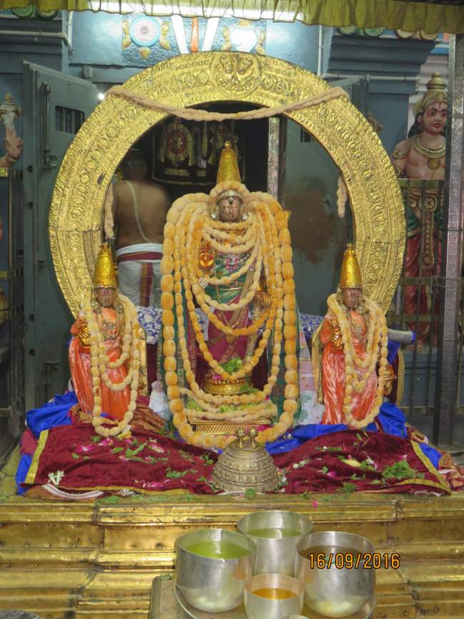 kanchi-devarajaswami-temple-pavithrotsavam-2016007