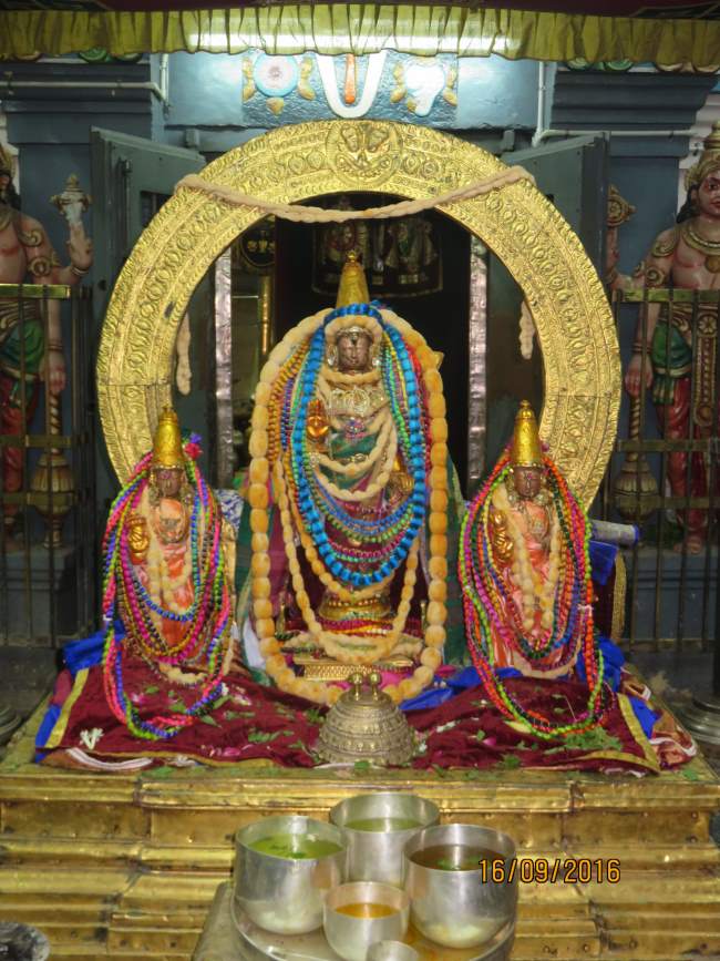 kanchi-devarajaswami-temple-pavithrotsavam-2016008