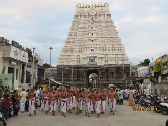 kanchi-devarajaswami-temple-pavithrotsavam-2016028