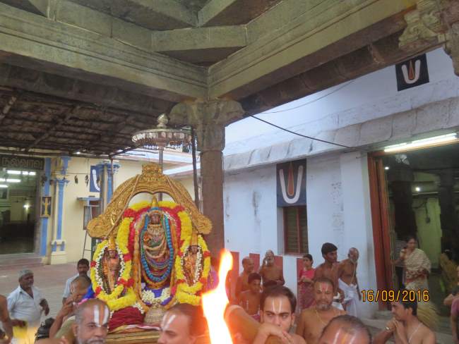 kanchi-devarajaswami-temple-pavithrotsavam-2016029
